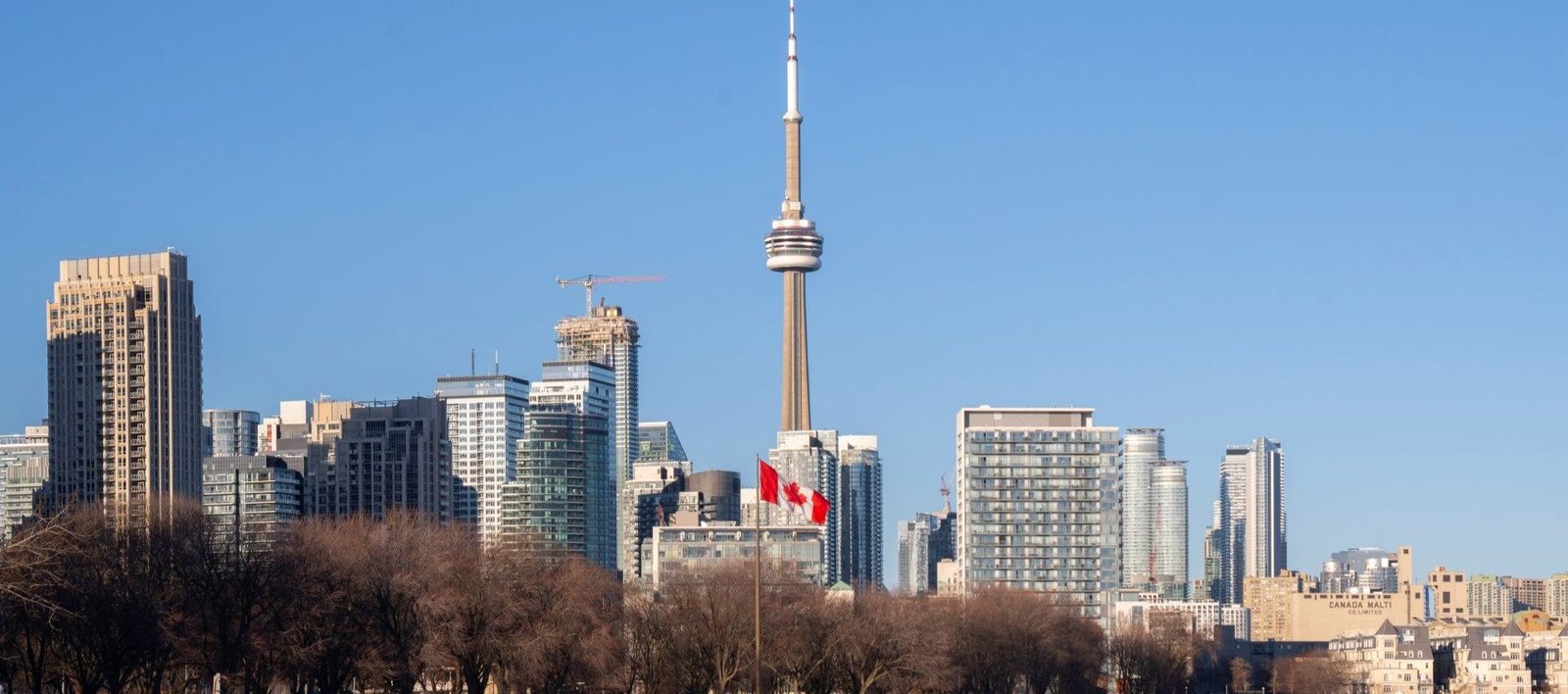 Three Cities, One World Cup: Toronto, Canada