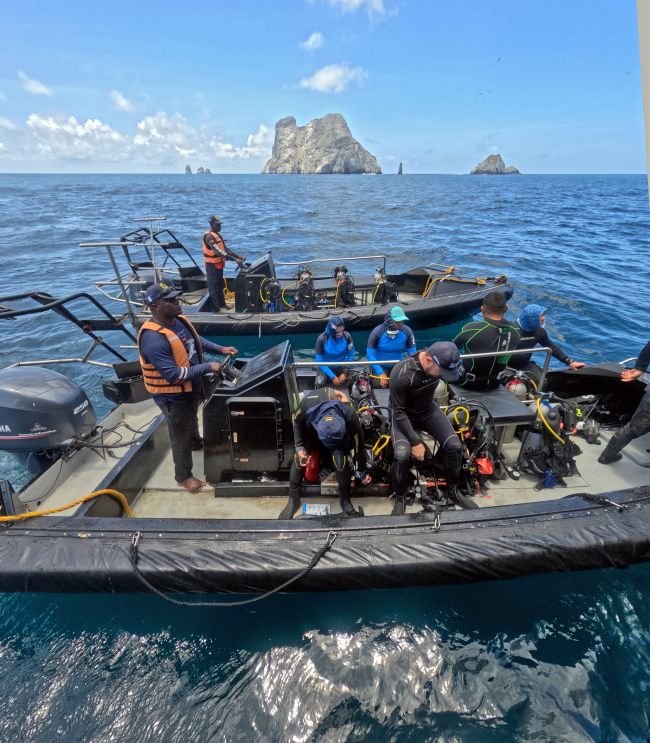 Buceo en Malpelo