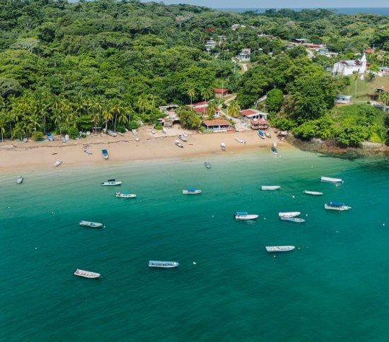 Las perlas en tiempo de ballenas