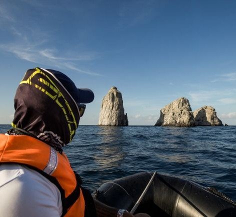 Malpelo