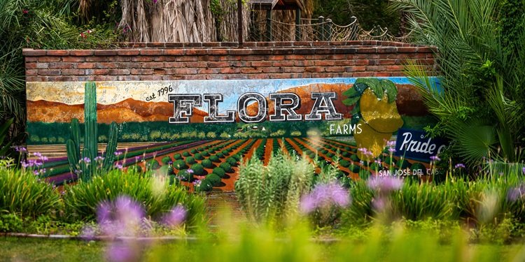 Flora Farms San José del Cabo