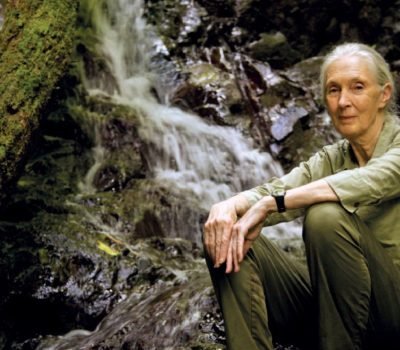 Jane Goodall portada