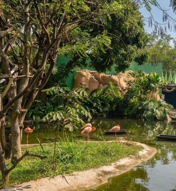 Zoológico de Cali